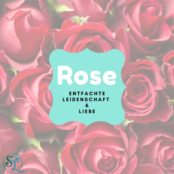 Grafik mit rotem Rosenhintergrund und einem türkisfarbenen Rahmen in der Mitte mit der Aufschrift ‚Rose – Entfachte Leidenschaft & Liebe‘.